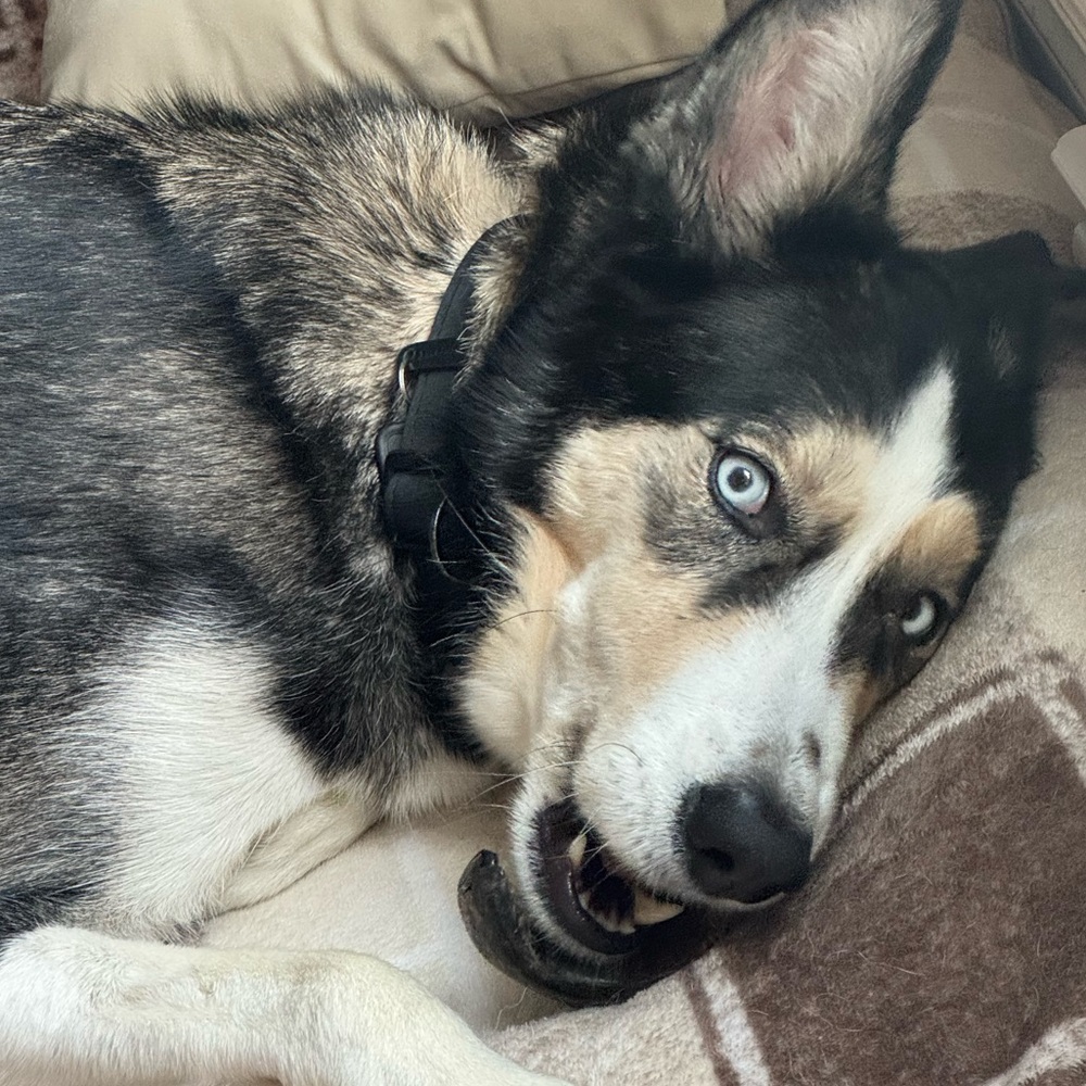 Meet your Posher, Gabriela